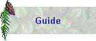Guide