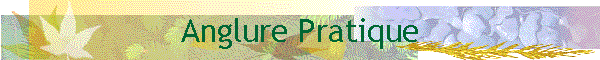 Anglure Pratique